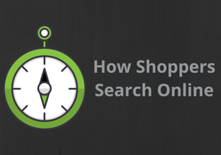 How Shoppers Search Online